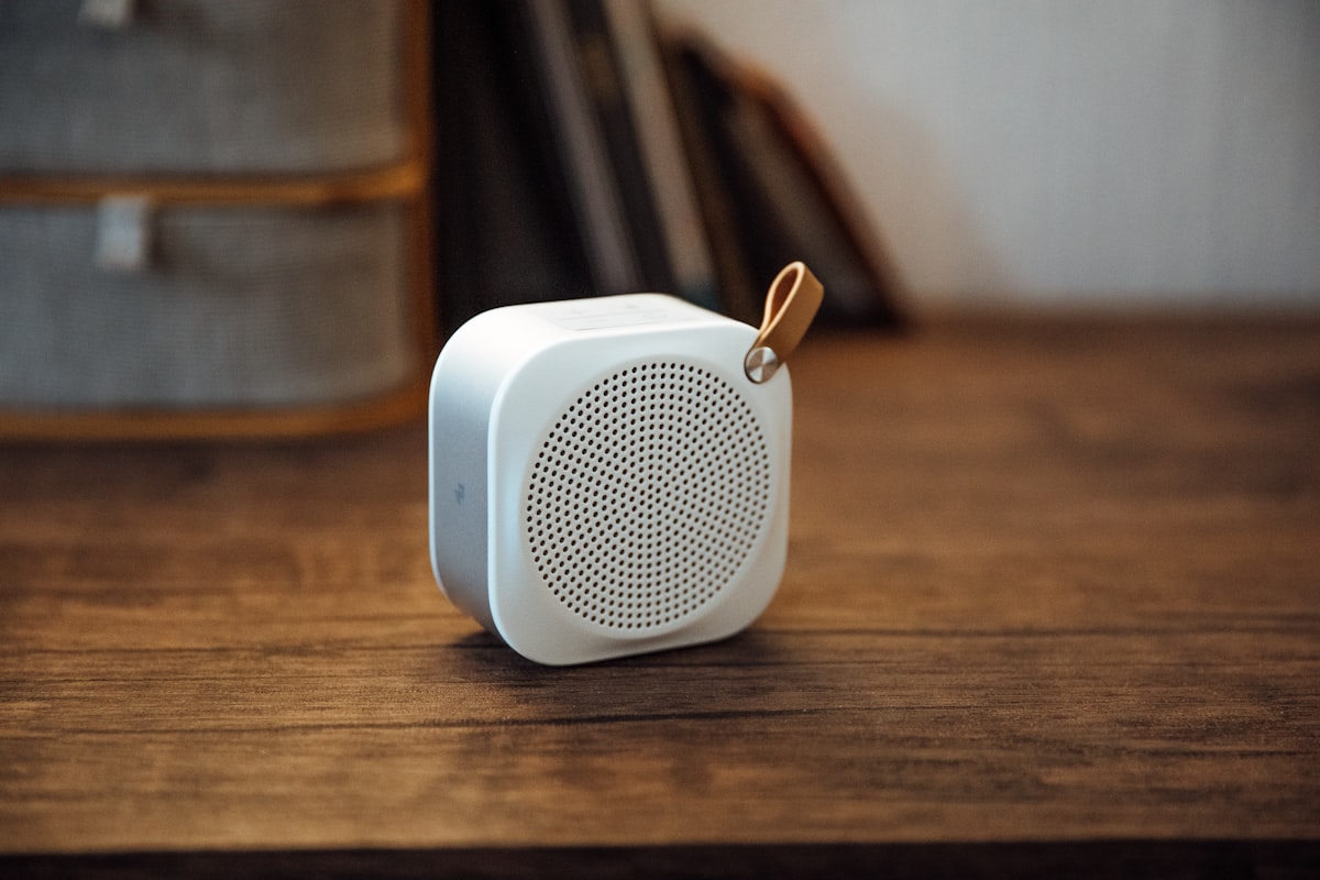 Can You Bring a Portable Speaker on a Plane?