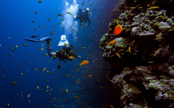 Can You Bring Scuba Tanks on a Plane?